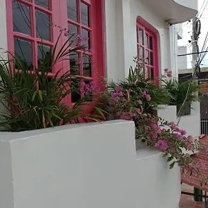 Pensión Miami, Cartagena